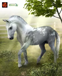 Trakehner Grey Stallion Horse Toy Model Figure by CollectA 88733 New - Foto 1 di 3