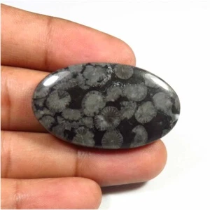 Pietra preziosa fossile nera naturale 38x22 mm 40 cts fatta a mano liscia ovale cabochon FL-70 - Foto 1 di 13