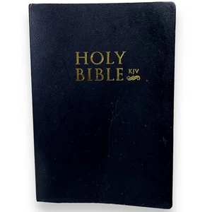 Holy Bible KJV Old & New Testament Printed by One Million Words LLC - Imagen 1 de 6