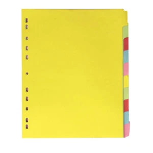 12Pcs Plastic Binder Dividers Binder Tabs A4 Folder Dividers - Picture 1 of 12