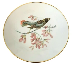 De colección Debra Alemania Baviera Placa de Pájaro Borde Dorado Rosa Floral Decoración del Hogar - Imagen 1 de 4