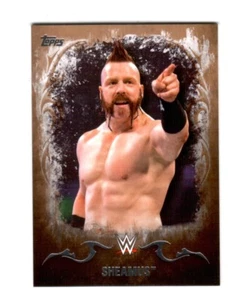 WWE Sheamus #33 2016 Topps Undisputed Bronze Parallel Card SN 22 of 99 - Imagen 1 de 1