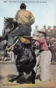 AK: Cowboy First Ride on Wild Bronco, 1910 UPRR, unbespielt - Bild 1 von 2