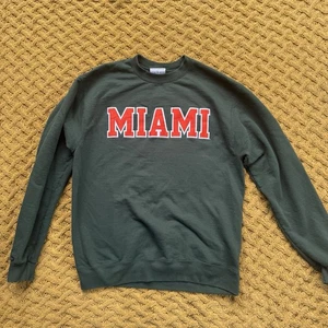 Miami Hurricanes Sweatshirt Mens Large NCAA Football Crewneck Pullover Champion - Picture 1 of 6