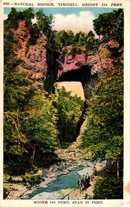 Postcard nighttime in Shenandoah national park near Skyland Virginia - Picture 1 of 2