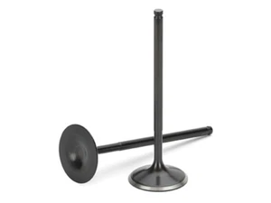 Supertech Fits Toyota Supra 1JZGTE Black Nitrided Intake Valve - Set of 12 - Foto 1 di 1
