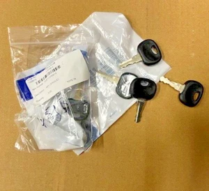 Volvo EC17 EC18 EC20 EC25 EC3 EC35 Ignition Door Key Part No 7417223 11306919 - Picture 1 of 3