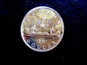 1961 Canada argento $1 gemma brillante non circolata prova come superfici R2 - Foto 1 di 2
