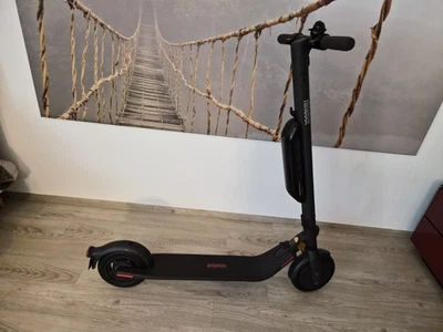 Segway Ninebot E45D E-Scooter - Grau - Bild 1 von 4