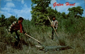 Florida FL Gator Hunt Postcard - Picture 1 of 2