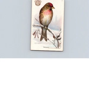 1918 Arm & Hammer Useful Birds America Second Series Redpoll No 17 - Picture 1 of 2