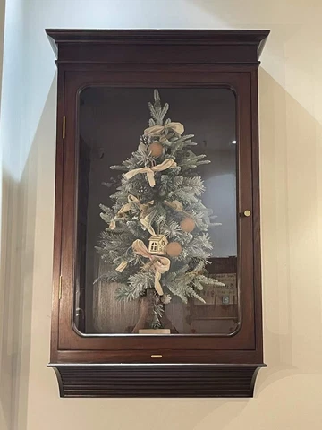 vintage  curious cabinets Cover