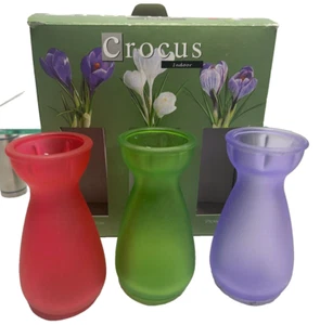 Crocus Interior 3 Jarrones Recuerdo, Keanne d 'Arc Y Pickwick - Imagen 1 de 7