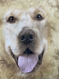 Yellow Lab Portrait Dog T Shirt Medium L/S The Mountain Labrador Retriever Z8 - Picture 1 of 7