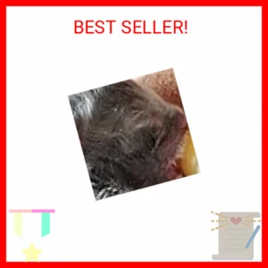 Pet Feeding Silicone Nipple with Bottle and Syringes for Puppy Dog Cat or Other - Picture 1 of 2