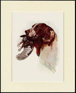 ZEIGERKOPF STUDIE MIT VOGEL SCHÖNER HUND DRUCK RAHMENFERTIG MONTIERT - Bild 1 von 1