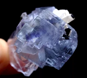 31g Natural Purple Fluorite & Wolframite  Mineral Specimen/ Yaogangxian  China - Picture 1 of 9