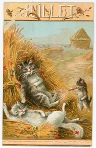 Boulanger Cat Series Juillet July Months of the Year - Picture 1 of 2