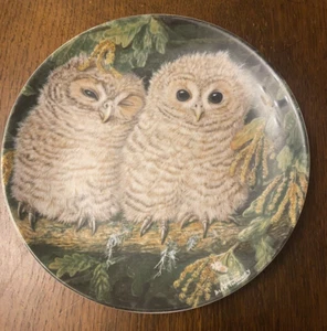 'Tawny Owl Chicks' The Baby Owls Wedgwood Bone China Teller Dick Twinney. Deko. - Bild 1 von 12