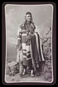 INSEGNA CAPO JOSEPH METALLO 8"X12" NATIVI AMERICANI INDIANI "COMBATTI NON PIÙ PER SEMPRE" - Foto 1 di 1