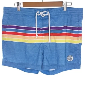 Original Penguin Stripes Swim Trunks Inner Mesh Mens Size 34 - Picture 1 of 9