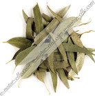 Feuille d'Eucalyptus Séchée BIO 40g Eucalyptus Leaves, Hoja de Eucalipto