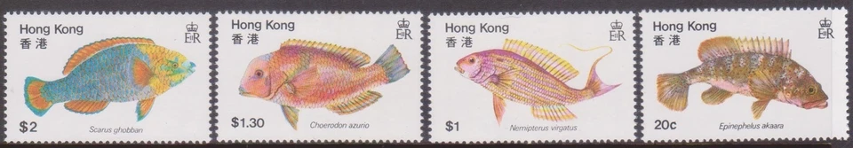 (K225-17) 1981 HK Juego de 4 Sellos Peces (Q) (DN32) Foto 1 de 1