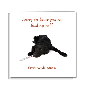 SWIZZOO Get Well Soon Card Him Her Labrador Sick Dog Recover Funny Feel Better - Picture 1 of 8