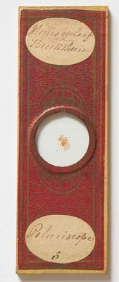 4 vintage microscope slides for polarisation - Image 1 of 4