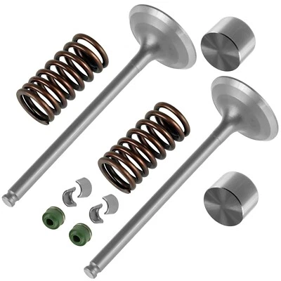 2x Kit de válvula de escape para Suzuki King Quad 750 LTA750X 4x4 2008-2009 2011-2022 Foto 1 de 4