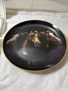Entering The Light -Noble And Free- by Susie Morton Danbury Mint Collector Plate - Picture 1 of 7