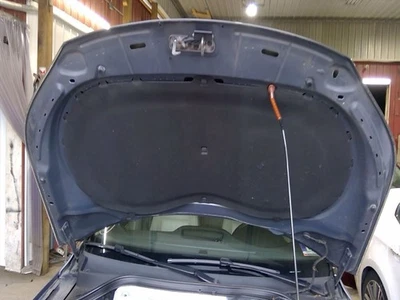 (LOCAL PICKUP ONLY) Hood Germany Built VIN W 1st Digit Limited Fits 09-18 TIGUAN Foto 1 de 4