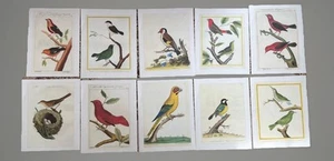Lot Of 10 Vintage Prints Of Different Birds Gallery Wall 14x11 Project Pieces - Picture 1 of 10