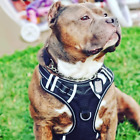 Big Dog Harness No Pull Adjustable Pet Reflective Oxford Soft Vest for Large