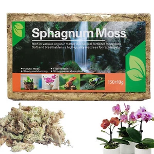 Musgo Sphagnum natural de alta calidad mezcla fibra turba musgo planta musgo seco - Imagen 1 de 10