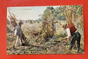 Antique 1908 Postcard~ HARVESTING THE FIELDS ~ LYNCHBURG VA ~  Selige 5702 - Picture 1 of 2