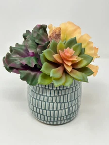 6.5" Artificial mixed Soft Curly Echeveria Succulent Garden #10 arrangement, 4" - Picture 1 of 6