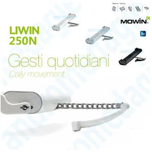 LIWIN 250N 230V accionamiento por cadena motor de cadena ventana basculante ventana plegable abreventanas - Imagen 1 de 14