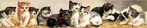 13642.Decor Poster print.Room Wall art design.A lot of lovely cat kittens.Long - Picture 1 of 1