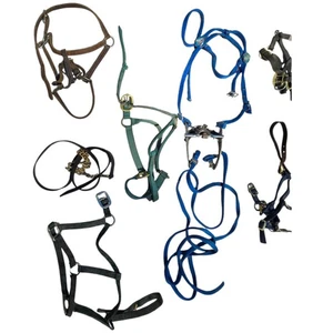 Lote Horse Tack Usado Tejedor Resistente-1 Halters Brida Bit Davis Bell Botas... - Imagen 1 de 11