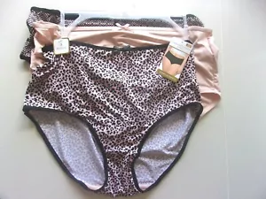 ADRIANNE VITTADINI 3 PACK BRIEFS ANIMAL PRINT/NUDE/GEOMETRIC Retail:32.Size: 2X - Picture 1 of 4