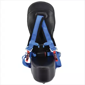 Black Carbon Fiber Bump Seat and Blue Four Point Harness - Picture 1 of 2