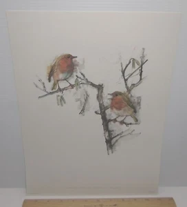Schizzi vintage a quattro colori dell'artista Mads Stage - Pettirossi - Foto 1 di 8