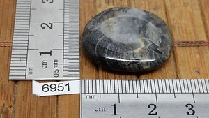 JASPE FEUILLE D'ARGENT pierre plate mineraux lithotherapie soin reiki collection - Picture 1 of 2