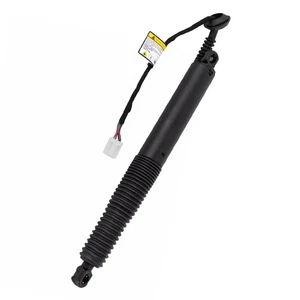 Links Power Lift Stützstrebe Schwarz für Tesla Model 3 2021 22 23 - Bild 1 von 7