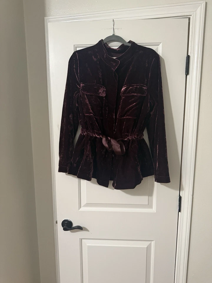 Elegante Blazer Ann Taylor Loft Terciopelo Aplastado Cinta Abotonada Cintura Ajustada Foto 1 de 1