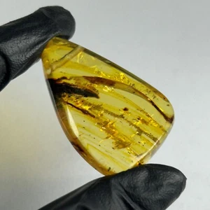 NATURAL MEXICAN PERFORATED PEAR AMBER CABOCHON 39 Cts/7,8 grams. REAL AMBER - Bild 1 von 9
