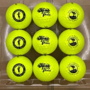9 RARE Titleist Pro V1 Logo Golf Balls (PEBBLE BEACH, TORREY PINES) MINT AAAAA - Picture 1 of 7