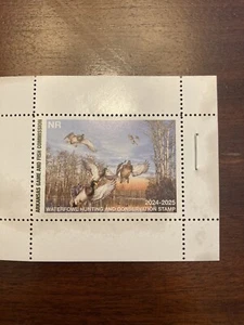MINT Arkansas Duck Hunting Conservation Migratory Bird Stamp 2024-2025 - Picture 1 of 2