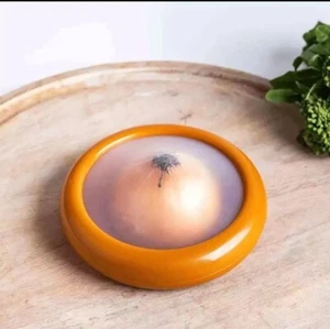 Fruit Vegetable Shape Onion Storage Saver Box Food Storage Containers for 2Pcs - Picture 1 of 10
